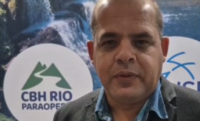 Mortandade de Peixes Preocupa CBH Paraopeba