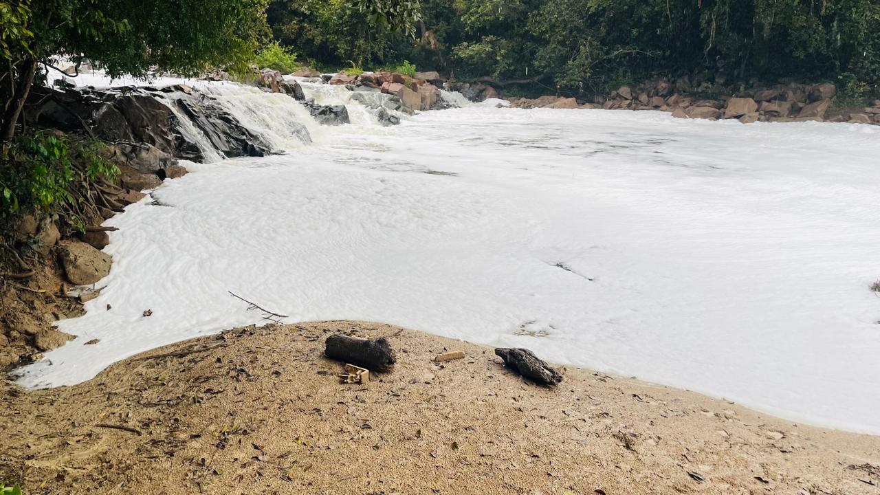 CBH Paraopeba encaminha laudo sobre poluição no Rio Betim ao MPMG e à Secretaria de Meio Ambiente