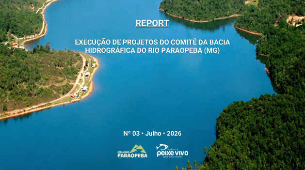 Nova edição do Report de Projetos detalha o andamento das ações financiadas pelo comitê da Bacia do Rio Paraopeba