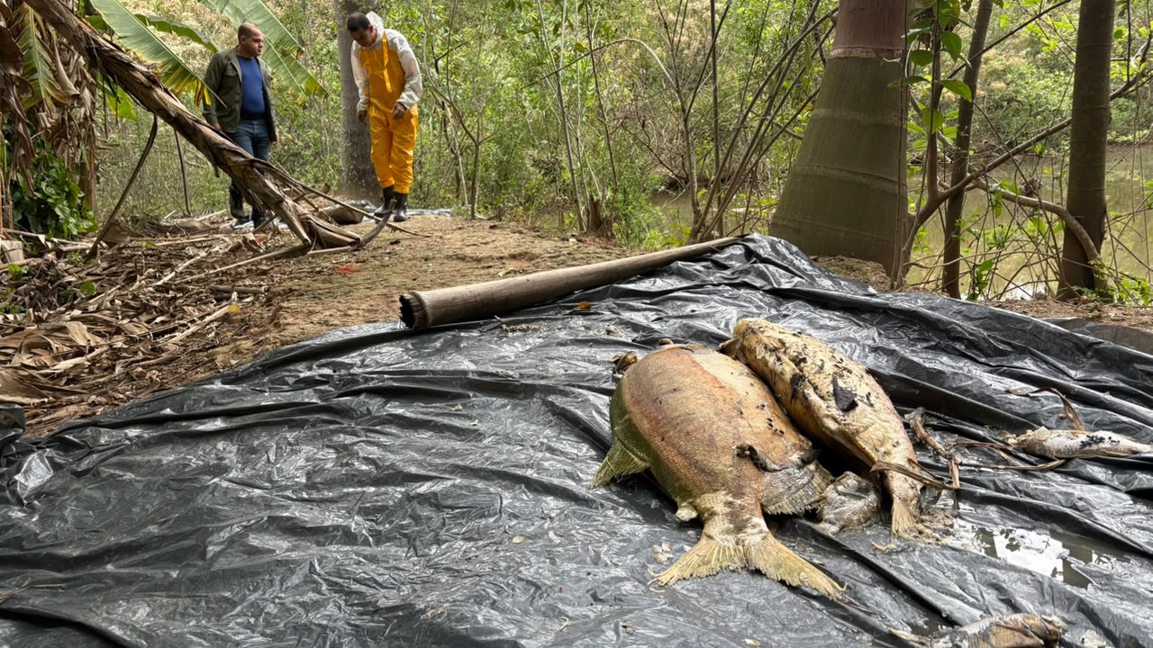 CBH Paraopeba acompanha coleta de amostras e confirma contenção de efluente em Betim
